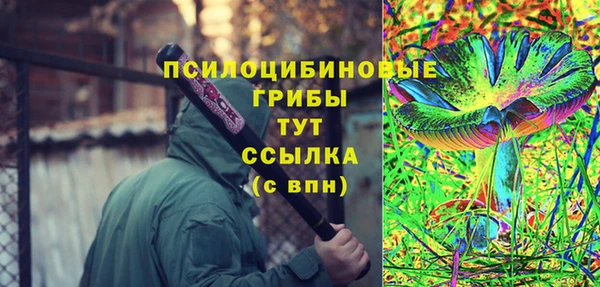 ПСИЛОЦИБИНОВЫЕ ГРИБЫ Няндома