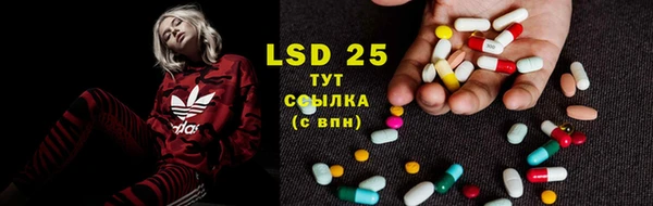 ПСИЛОЦИБИНОВЫЕ ГРИБЫ Няндома