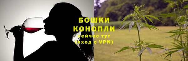 дживик Новозыбков