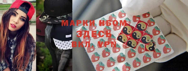 ПСИЛОЦИБИНОВЫЕ ГРИБЫ Няндома