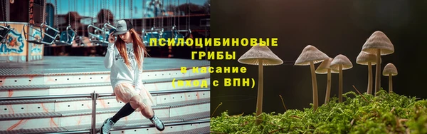 ПСИЛОЦИБИНОВЫЕ ГРИБЫ Няндома