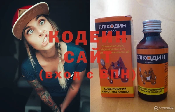 дживик Новозыбков