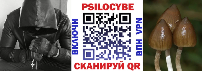 Галлюциногенные грибы мицелий  магазин    Уяр 